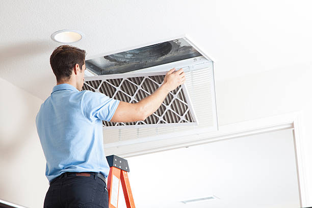 Best HVAC Cleaning Services  in Circleville, OH